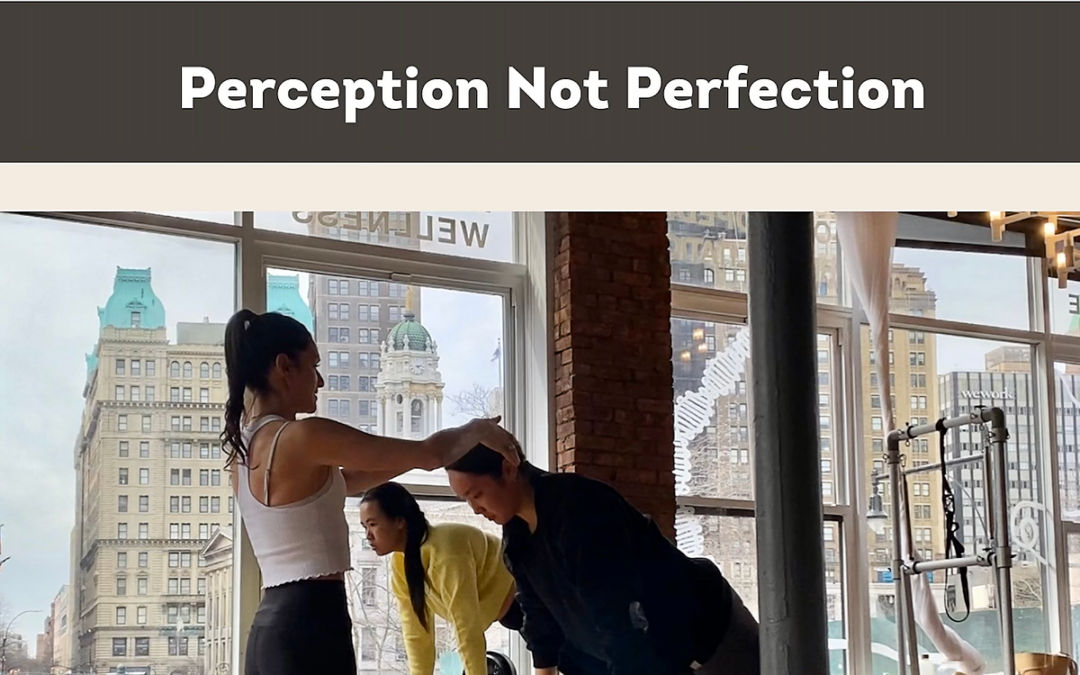 Perception Not Perfection